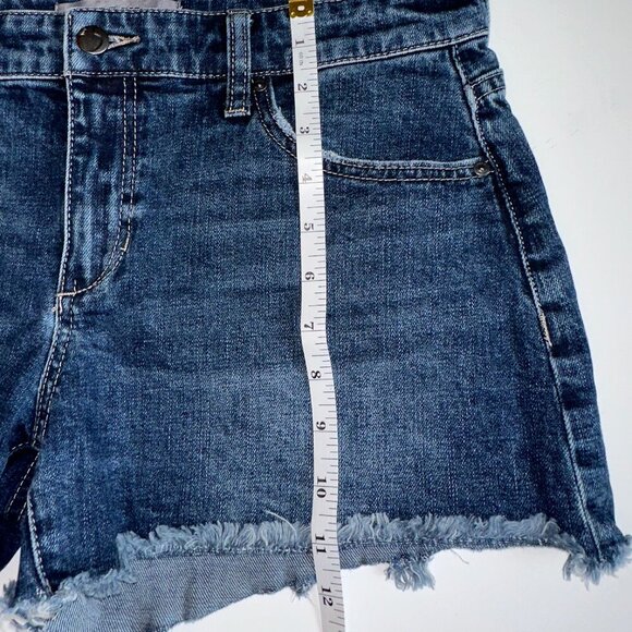Joe's Jeans Cut-Off Shorts Size 29 | 3" Inseam | Frayed Hem Denim Jean Shorts - Picture 5 of 8